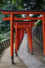 Fototapeta na wymiar 鳥居　赤い鳥居　根津神社　神社　日本　東京