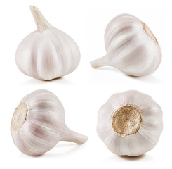 Garlic Isolated on white
