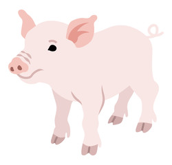 Pig - 2019 Chinese Zodiac Sign