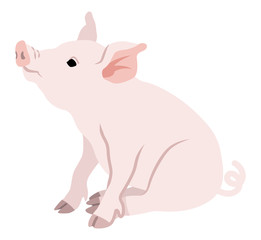 Sitting Pig - 2019 Chinese Zodiac Sign