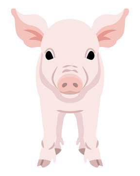 recommend clip art: Pig Front view - 2019 Chinese Zodiac Sign