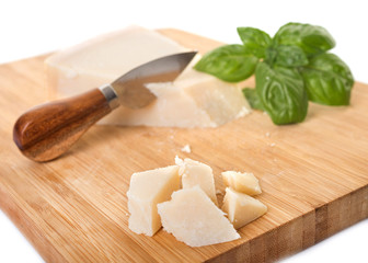 parmesan in studio