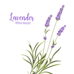 Glasschilderij Lavendel Stelletje lavendel bloemen op een witte achtergrond. Vector illustratie.