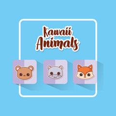 Kawaii animals over blue background, colorful design. vector illustration