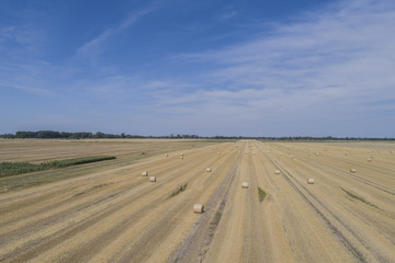 Fototapeta na wymiar Drohnenflug über einem Stroh Rundballenfeld