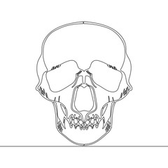 Continuous one line drawn skull X-ray vector
