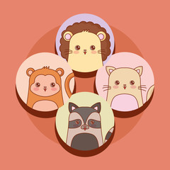 Kawaii animals over orange background, colorful design. vector illustration