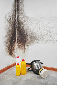 Mold. Aspergillus. Detergents, household gloves, a sponge, a bucket on a white wall background with a black fungus..