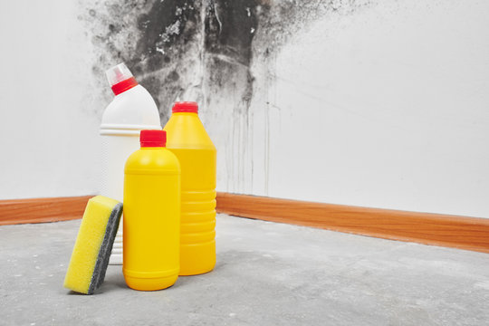 Mold. Aspergillus. Detergents, household gloves, a sponge, a bucket on a white wall background with a black fungus..