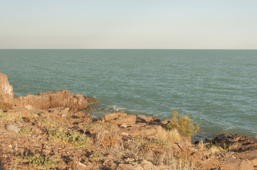 sea shells with sand as background