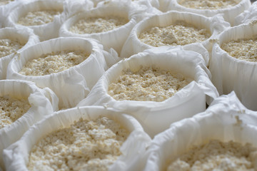 Molds with semifinished for the production of cheese. Cheese making on a dairy farm. Cheese...