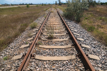 Abandoned railroad tracks / Overgrown and abandoned railroad tracks in countryside
