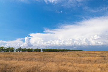 White clouds over agricultural fields / White clouds on blue sky over agricultural fields in sunny summer day