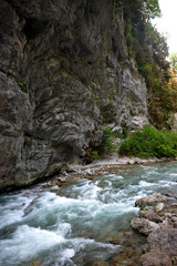 Obraz premium mountain river in Abkhazia