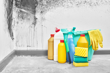 Mold. Aspergillus. Detergents, household gloves, a sponge, a bucket on a white wall background with...