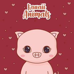 Kawaii pig icon and decorative hearts around over red background, colorful design. vector illustration