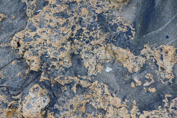 The surface of an old rock with cracks. Old rock texture. Wild background.