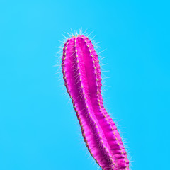 Cactus. Minimal Fashion. Creative Design. Art