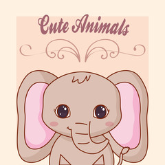 cute animals design with elephant  icon over orange background, colorful design. vector illustration