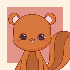 cute animals design with squirrel  icon over orange background, colorful design. vector illustration