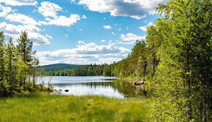 Das Panorama eines schwedischen Sees im Abendlicht des Midsommar im Hälsingland.