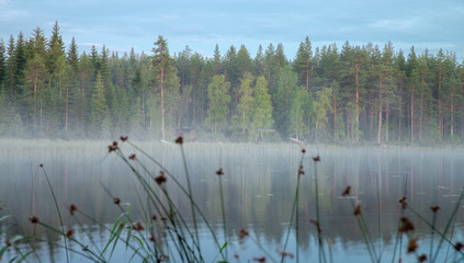 Ein schwedischer See im Nebel.