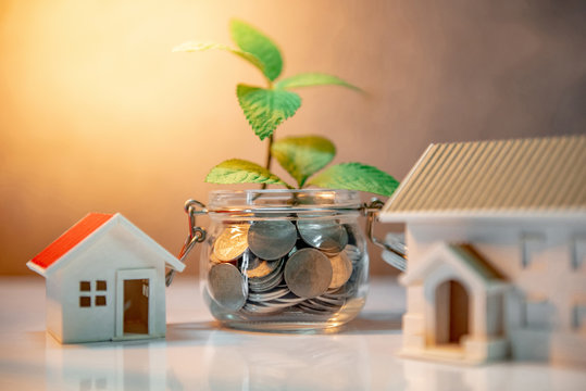 Property of real estate investment. Home mortgage loan rate. Saving money for future concept. Reflection of green plant growing out of coins in glass jar and house model on the table