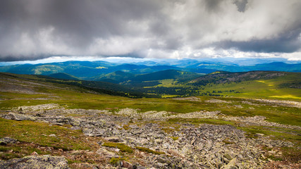 A landscape view of beautiful fresh green field   and  Altai mountain background.  Panoramic view of beautiful green field in the Altai mountains