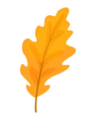 Colorful oak leaf vector illustration isolated on white backgrou
