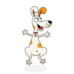 funny dog jumping with pleasure and joy