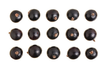 black currant isolated on white background. Top view. Flat lay pattern. Set or collection