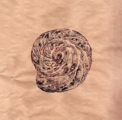 Imprint of the shell on kraft paper, engraving.