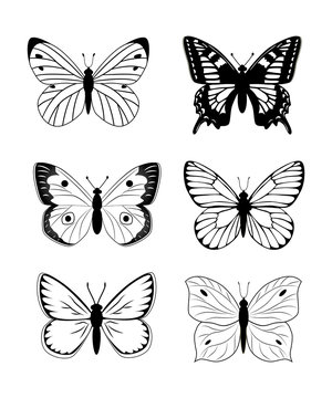 Butterfly  silhouette  icon set. Simple set of butterfly vector 