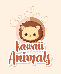 Kawaii lion icon over white background, colorful design. vector illustration