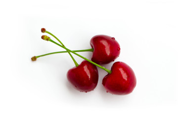 Colorful three delicious cherries isolated on background, water drops. Top view, natural shadow.