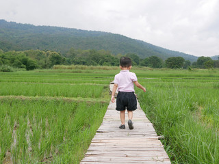 Asian baby walking on a dry bamboo path into a wide refreshing green paddy field by herself - baby's courage to take a journey into a new education world / experience