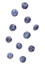 falling fresh ripe blueberry isolated on white background. Top view. Flat lay pattern