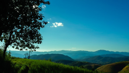 Panoramic View Of Agricultural Field Against Sky in Chiang Mai Thailand.