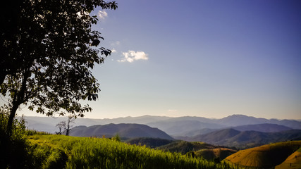 Panoramic View Of Agricultural Field Against Sky in Chiang Mai Thailand.