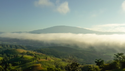 Panoramic View Of Agricultural Field Against Sky in Chiang Mai Thailand.