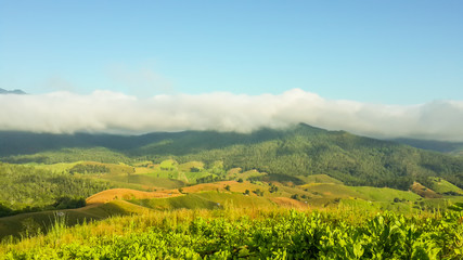 Panoramic View Of Agricultural Field Against Sky in Chiang Mai Thailand.