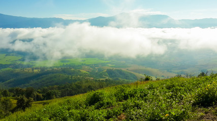 Panoramic View Of Agricultural Field Against Sky in Chiang Mai Thailand.