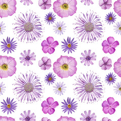 purple flowers