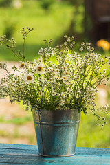 Garden summer flowers in metal bucket on old wooden table.