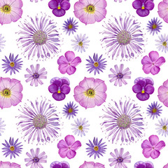 purple flowers