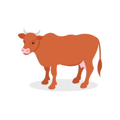 Brown dairy cow, farm animal vector Illustration on a white background