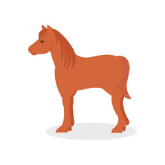 Brown horse, farm animal vector Illustration on a white background