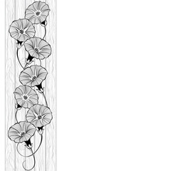 Floral design with bindweed on the texture of wood. Vector illustration with place for text.  Greeting card, invitation or isolated elements for design. Vertical composition.