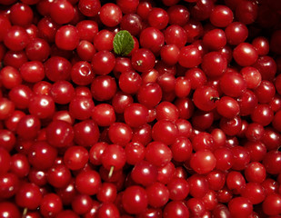 Cherry full background