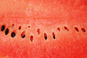 Red watermelon flesh closeup seamless, watermelon macro photo texture background